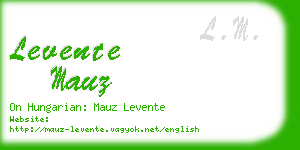 levente mauz business card